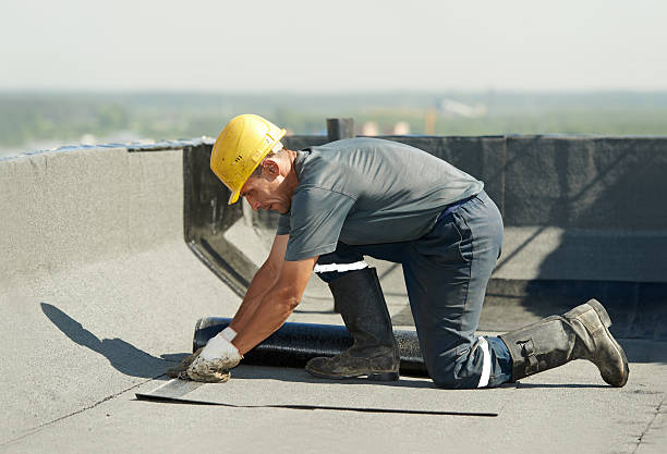 Best Cellulose Insulation in Rock Island, WA